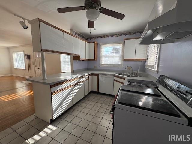 kitchen with ventilation hood, dishwasher, white cabinets, and electric range