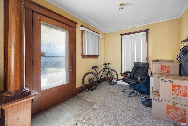 carpeted home office with ornamental molding