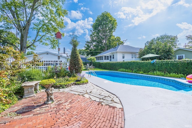 view of swimming pool featuring a patio