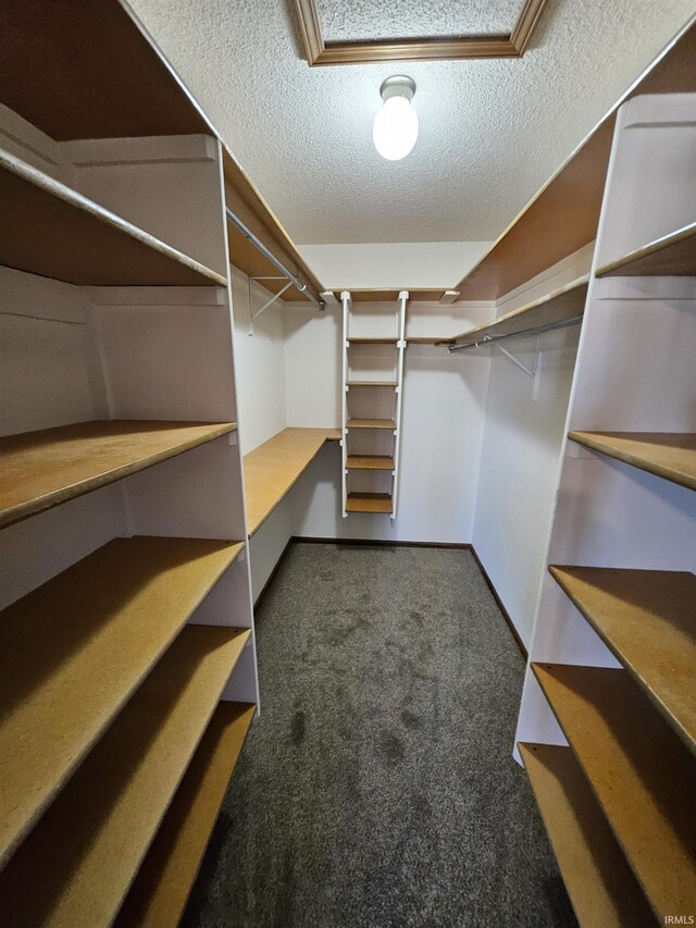 walk in closet with dark carpet