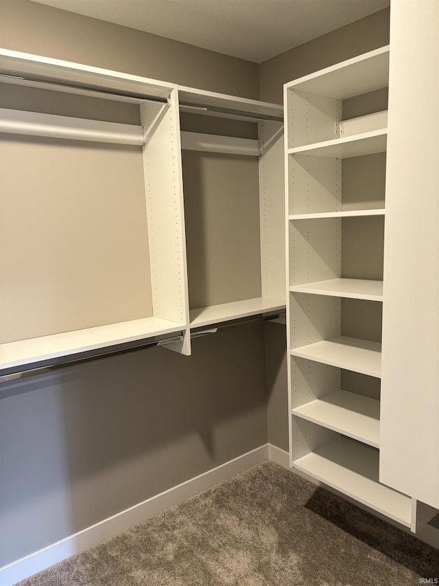walk in closet with dark carpet