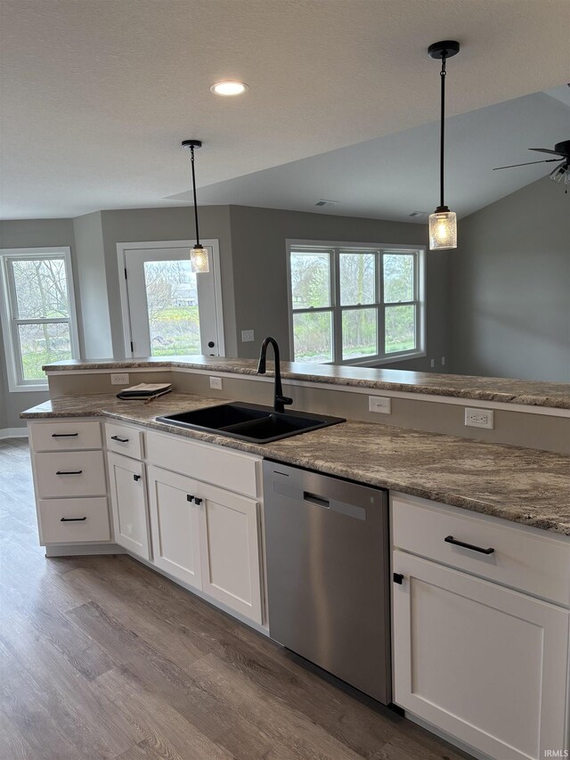 kitchen featuring light wood finished floors, plenty of natural light, dishwasher, and a sink
