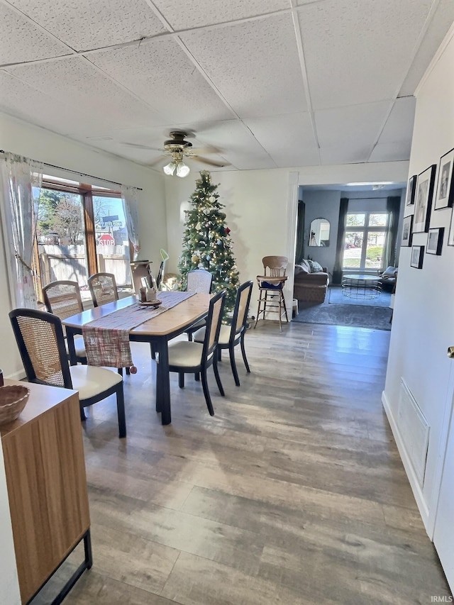 dining space featuring a paneled ceiling, ceiling fan, and wood-type flooring