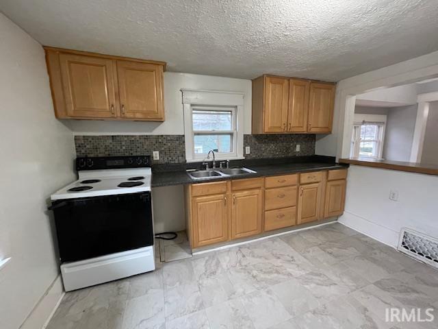 kitchen with decorative backsplash, sink, a healthy amount of sunlight, and white electric stove