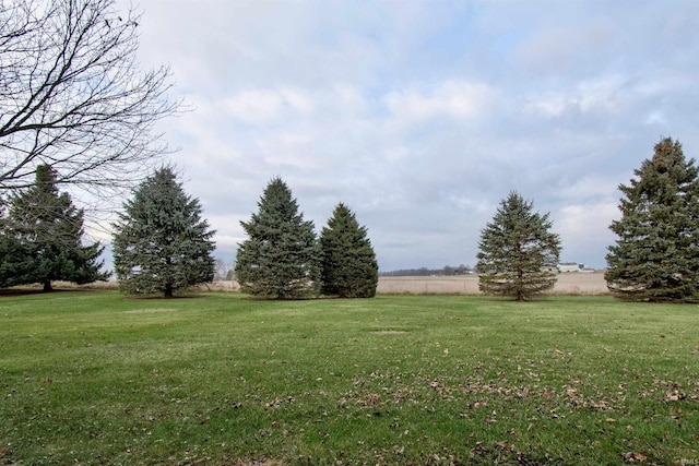 view of yard featuring a rural view