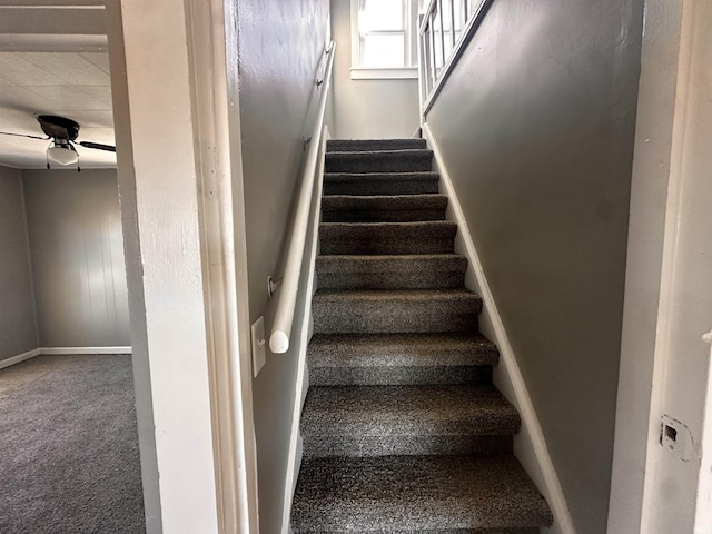 stairway with ceiling fan and carpet flooring