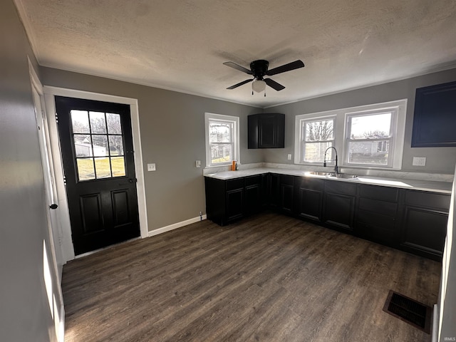 kitchen with ceiling fan, sink, a textured ceiling, and dark hardwood / wood-style floors