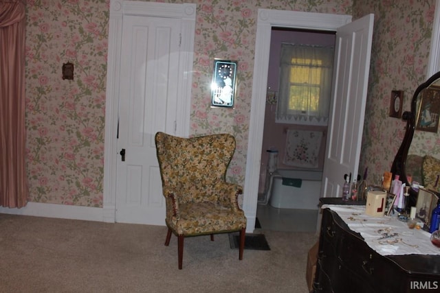 sitting room featuring carpet flooring