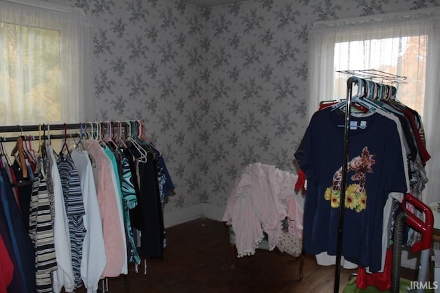 spacious closet featuring hardwood / wood-style floors