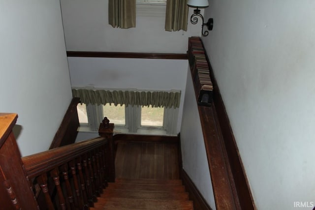 staircase with hardwood / wood-style floors