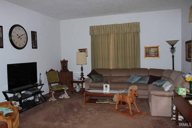 living room with carpet