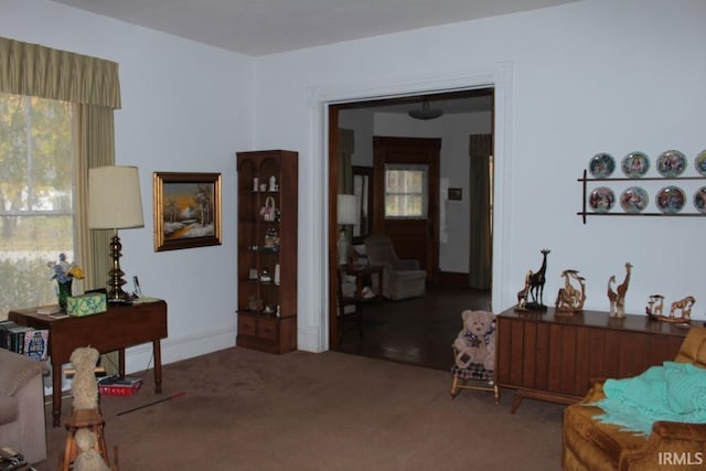 living room with carpet floors