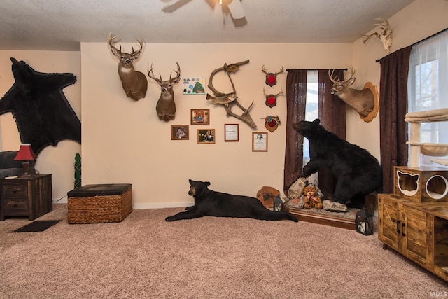 interior space featuring carpet flooring, a textured ceiling, and ceiling fan