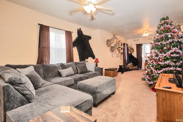 living room with carpet