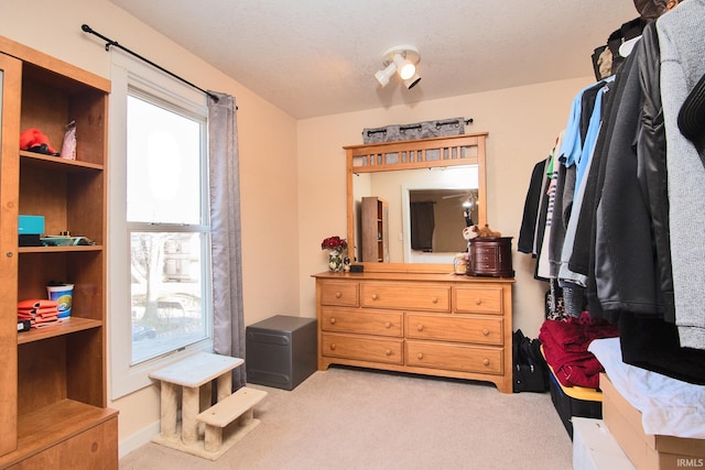 spacious closet with light carpet