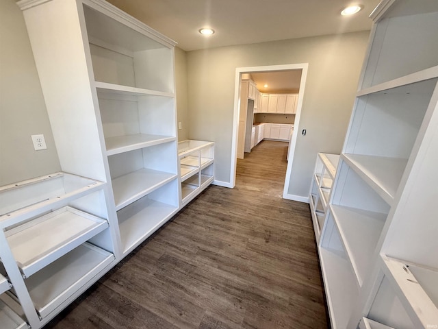 spacious closet with dark wood-type flooring