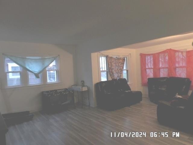 living room featuring dark hardwood / wood-style flooring