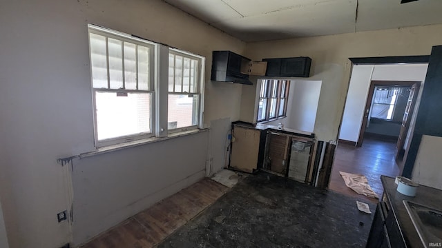 kitchen with dark hardwood / wood-style floors