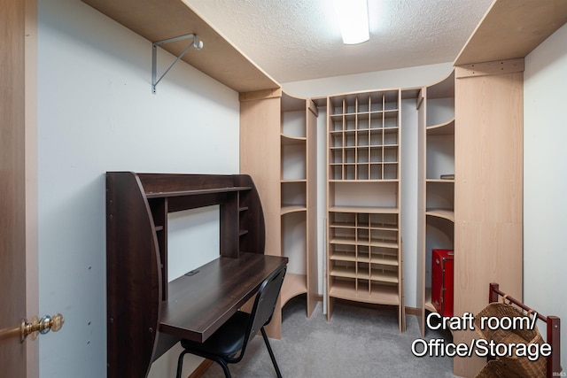 walk in closet featuring carpet flooring