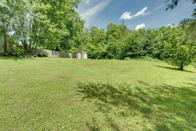 view of yard with a shed