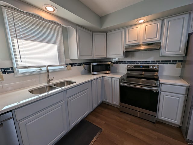 kitchen with decorative backsplash, appliances with stainless steel finishes, dark hardwood / wood-style flooring, and sink