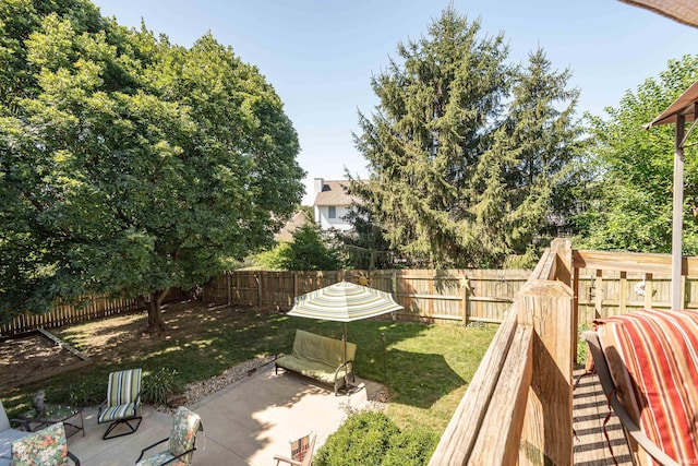 view of yard with a patio