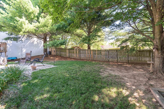 view of yard featuring a patio