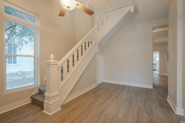 staircase with ceiling fan and hardwood / wood-style floors