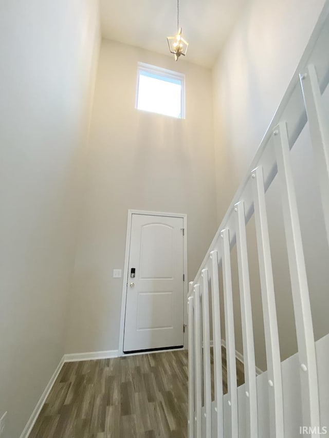 foyer entrance with dark hardwood / wood-style flooring