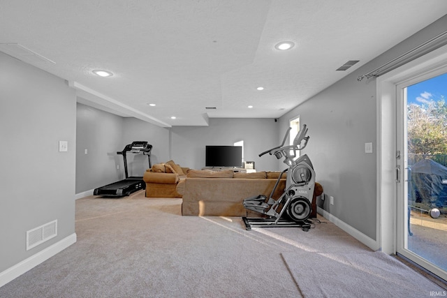 exercise room with a textured ceiling and light carpet