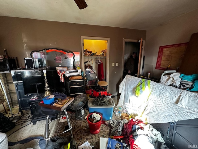 bedroom featuring a walk in closet, ceiling fan, and a closet