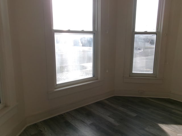 spare room featuring plenty of natural light and dark hardwood / wood-style floors