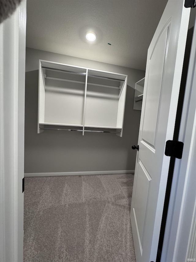 walk in closet with carpet floors