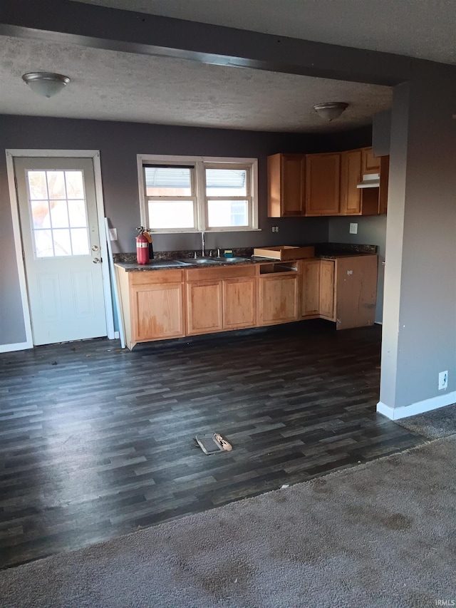 kitchen with dark hardwood / wood-style floors, sink, and a wealth of natural light