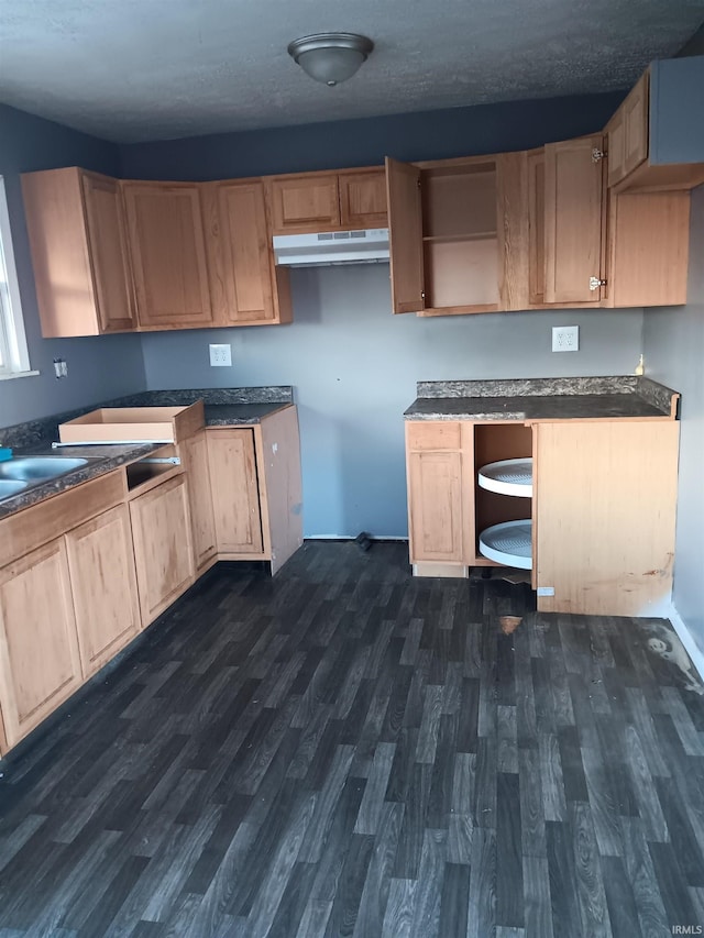 kitchen with dark wood-type flooring