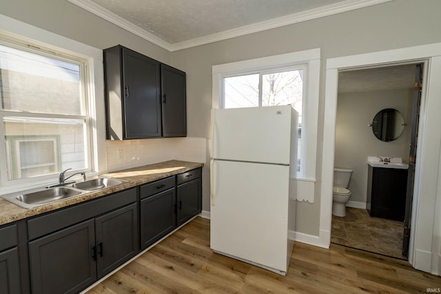 kitchen featuring crown molding, sink, light hardwood / wood-style floors, and white refrigerator