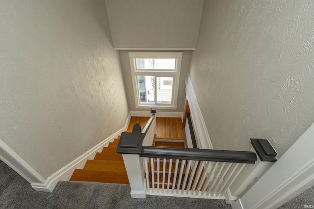 staircase with carpet floors