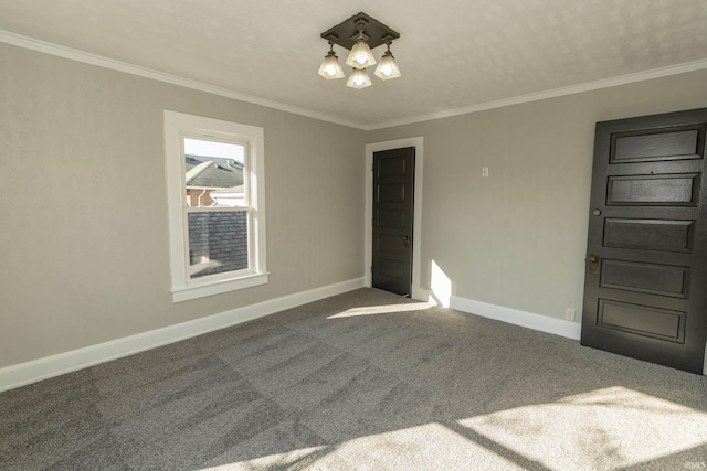 spare room featuring crown molding and carpet floors