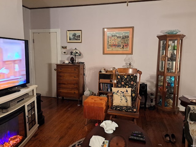 living room featuring dark wood-type flooring