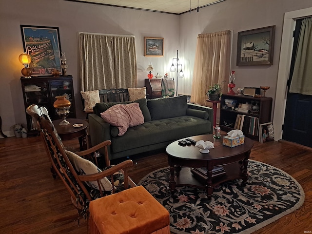 living room featuring dark wood-type flooring