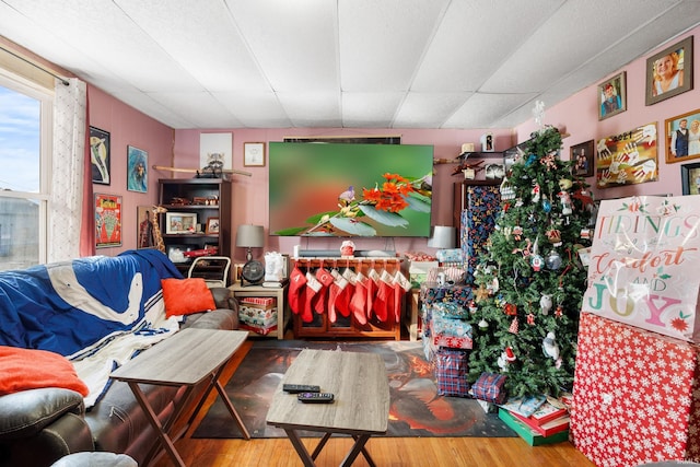 living room with hardwood / wood-style flooring