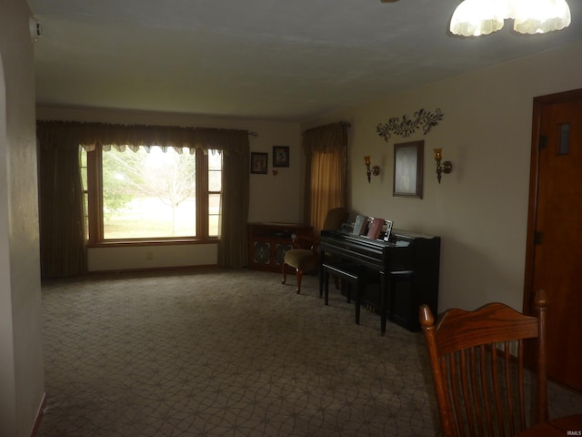 miscellaneous room featuring carpet floors