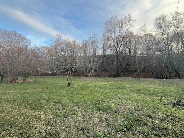 W River Rd, Patoka IN, 47666 land for sale