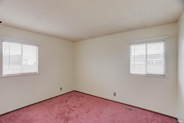 carpeted empty room with a textured ceiling and a healthy amount of sunlight