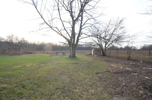 view of yard with a rural view