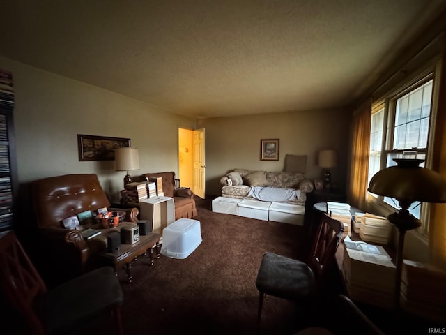 bedroom featuring carpet and a textured ceiling