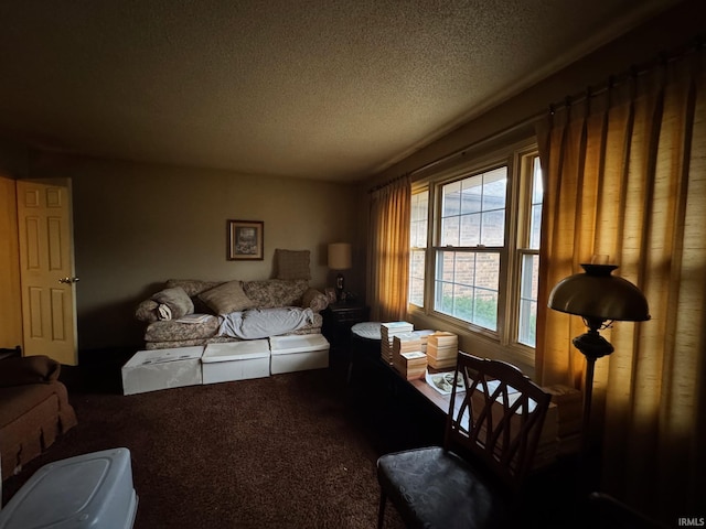 interior space with carpet flooring and a textured ceiling