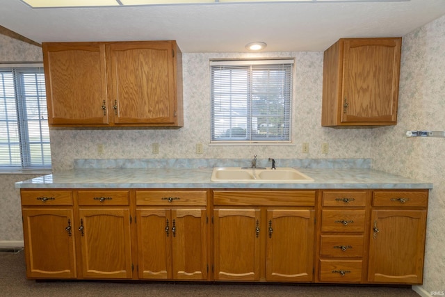 kitchen featuring sink and carpet floors