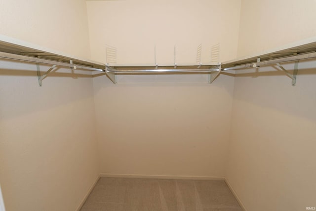 spacious closet with carpet