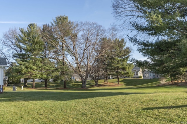 view of yard